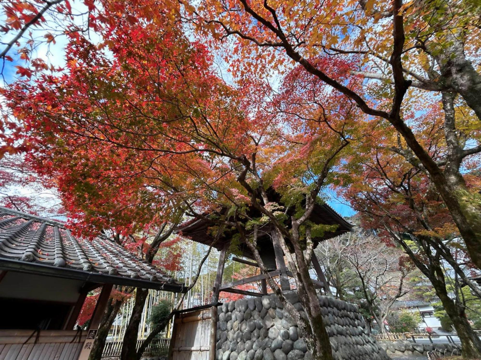 Shuzenji Onsen Hotel Takitei Izu  Exterior photo